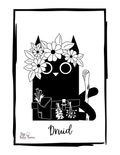 Druid - D&D Class Kitten