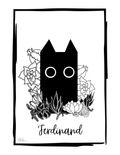 Ferdinand - First Series