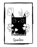 Quinton - First Series