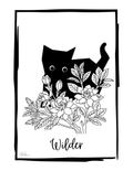 Wilder - First Series