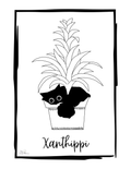 Xanthippi - First Series